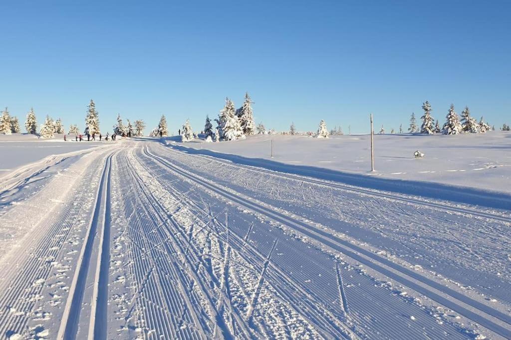 Leilighet Med Panoramautsikt Sjusjoen Innendors Parkering ภายนอก รูปภาพ